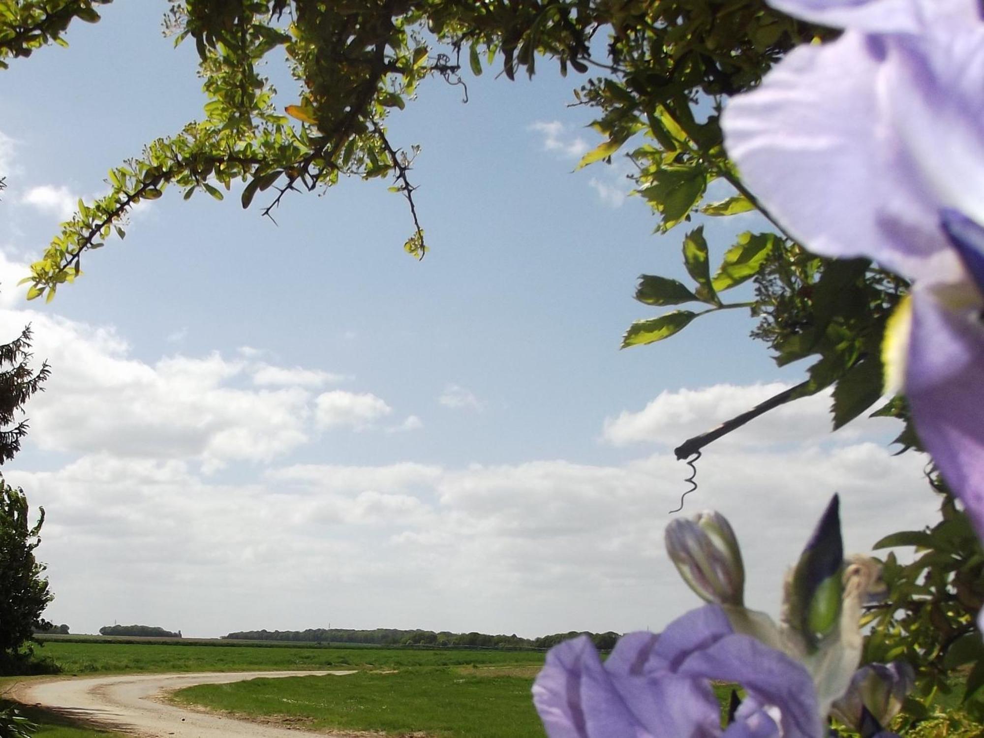 Charmante Maison De Campagne Avec Jardin Prive, Pres De Paris Et Orleans, Ideale Pour Familles - Fr-1-590-136 Audeville Buitenkant foto