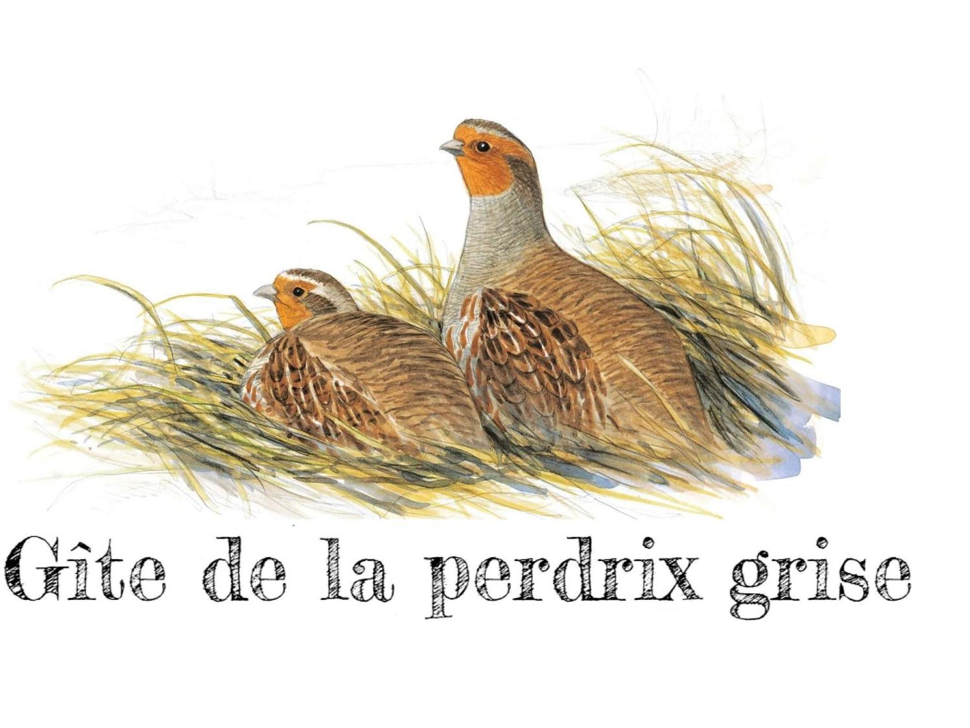 Charmante Maison De Campagne Avec Jardin Prive, Pres De Paris Et Orleans, Ideale Pour Familles - Fr-1-590-136 Audeville Buitenkant foto